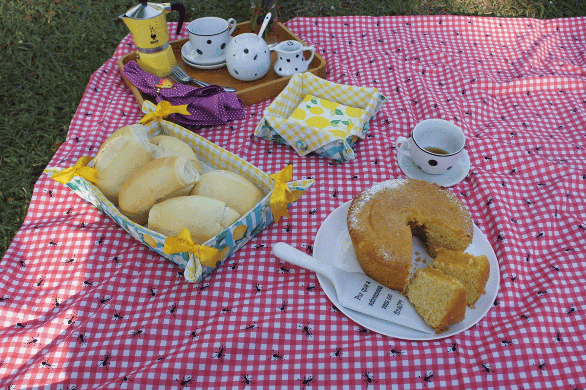 Toalha xadrez na grama com bolo, caf&eacute;, p&atilde;es e itens de mesa